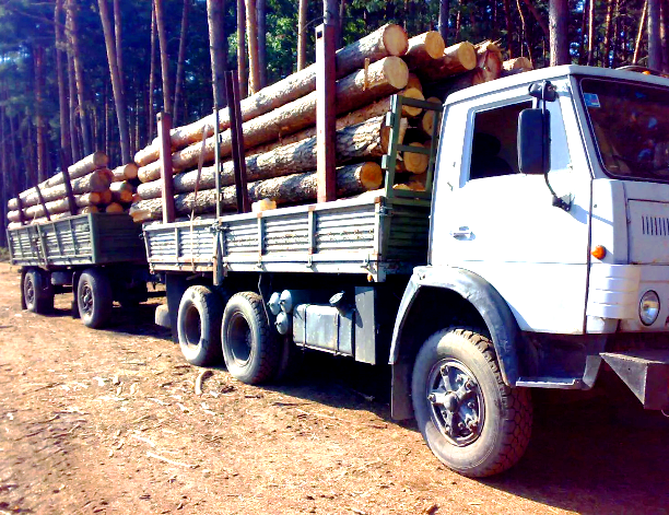 Без прикрас.  Источник:  Focus.ua