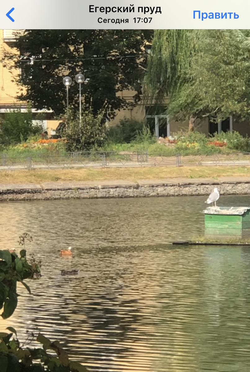 фото из личного архива