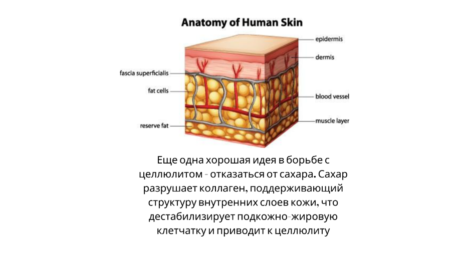 Целлюлит на ногах