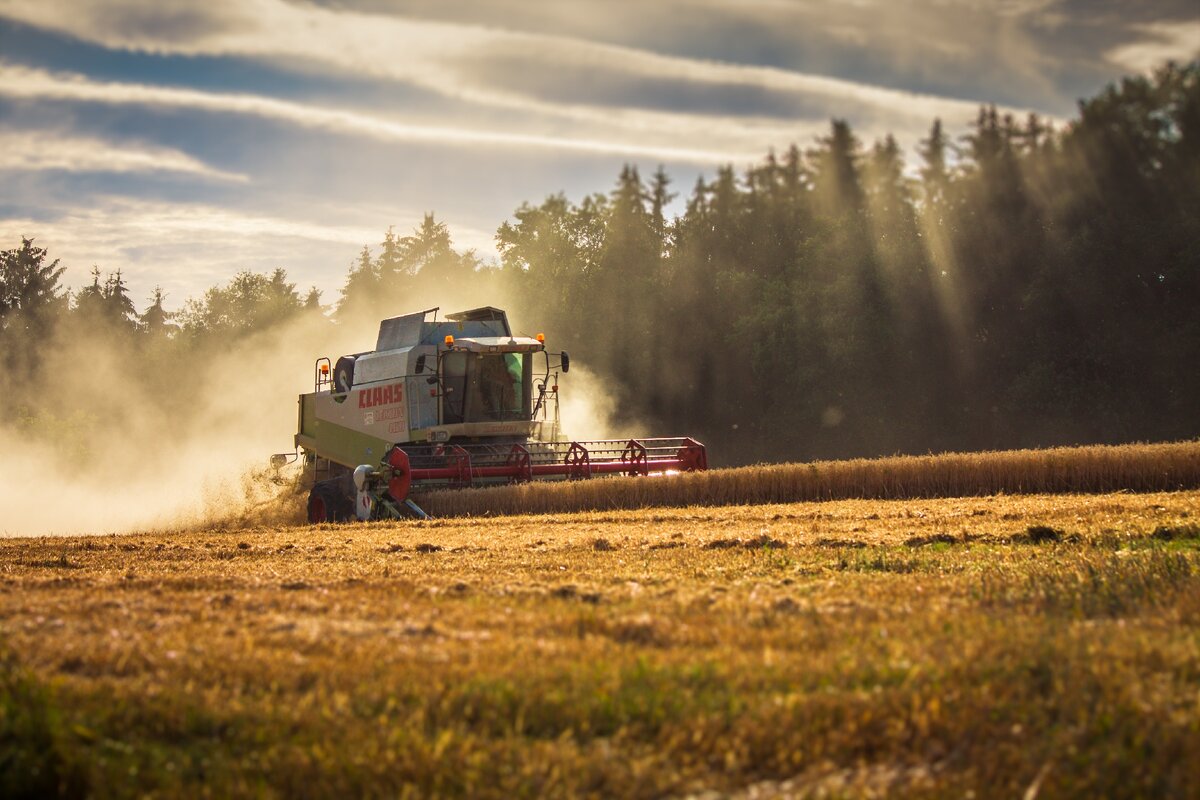 CLAAS PRO Культуру 