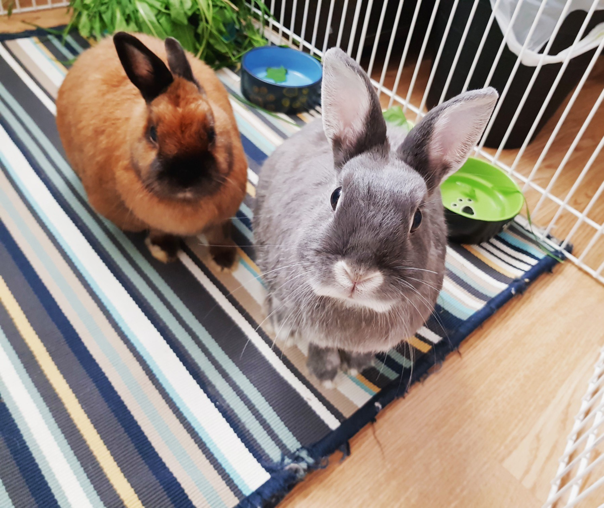 Фото из сети Интернет.