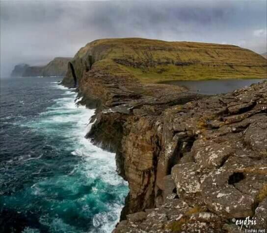 Яндекс.картинки