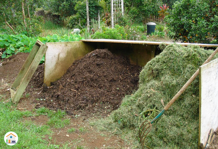 Фото с ресурса Яндекса. Для примера