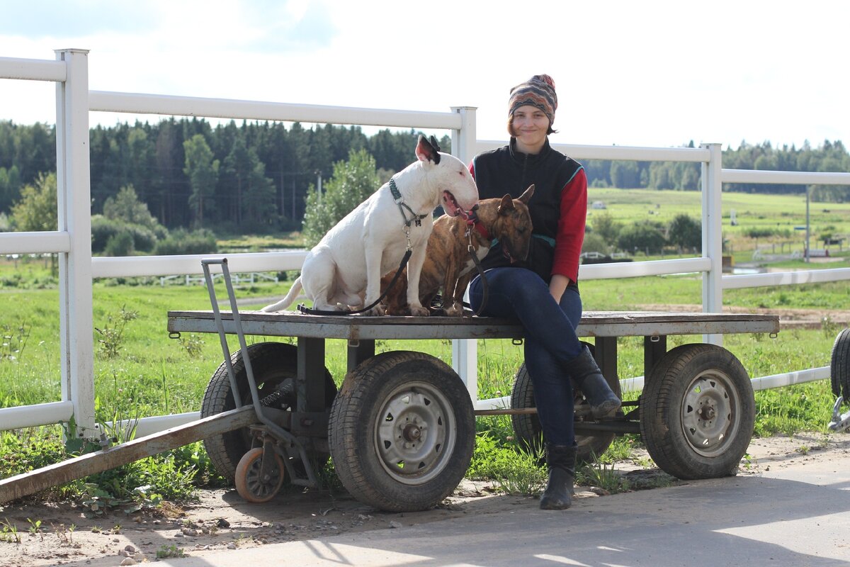 Соревнования по танцам проходят в максима стейблс, МО