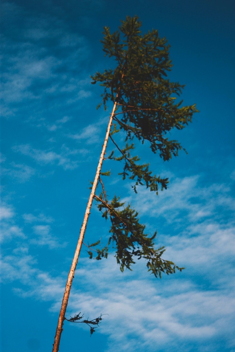 Природа это всё