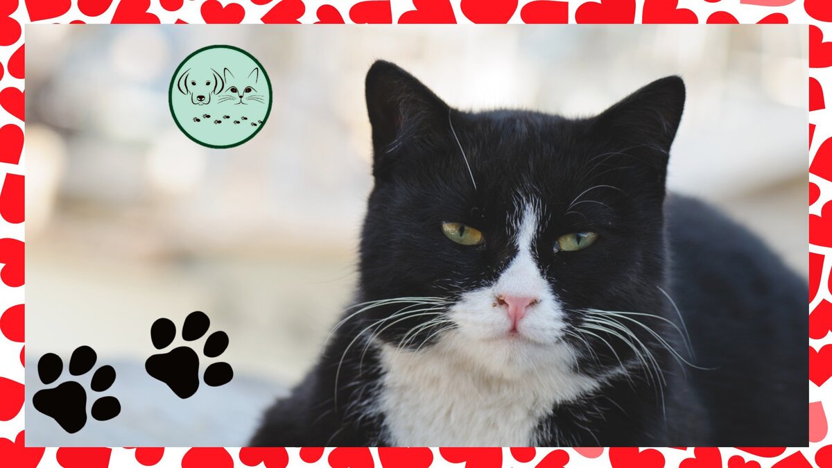 Ставьте лайки, подписывайтесь на канал