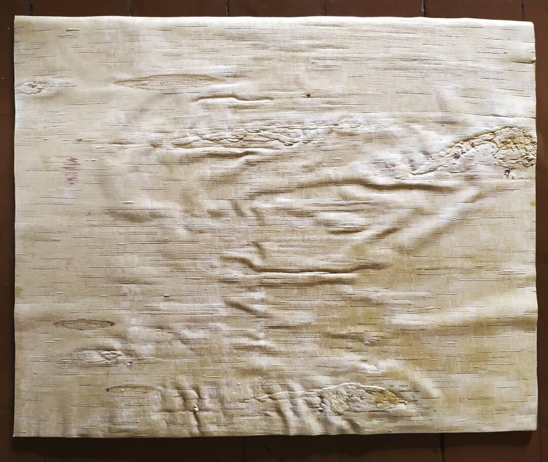 заготовка бересты