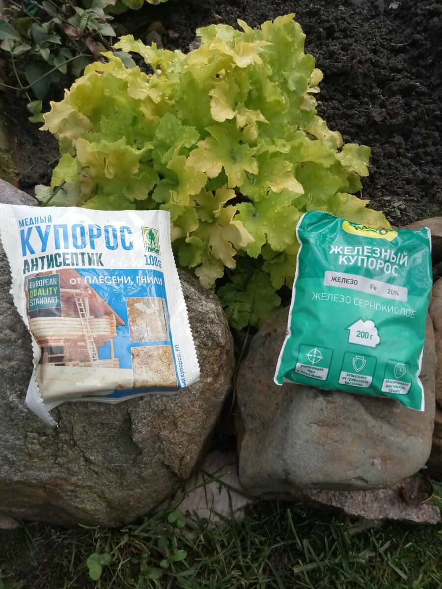 Медный купорос железный купорос. Медный и Железный купорос. Медный купорос для растений. Железный купорос.