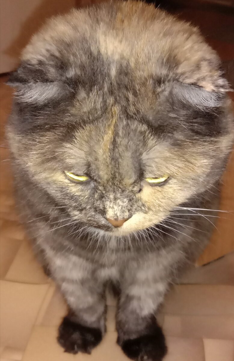 Еще немного подождем...