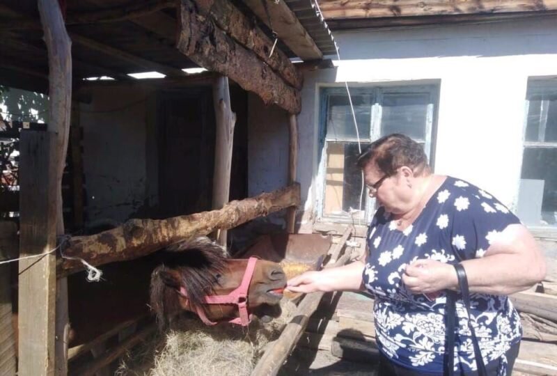 Фото: предоставлено пресс-службой регионального министерства социального развития.