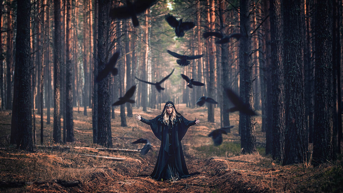 яндекс картинка