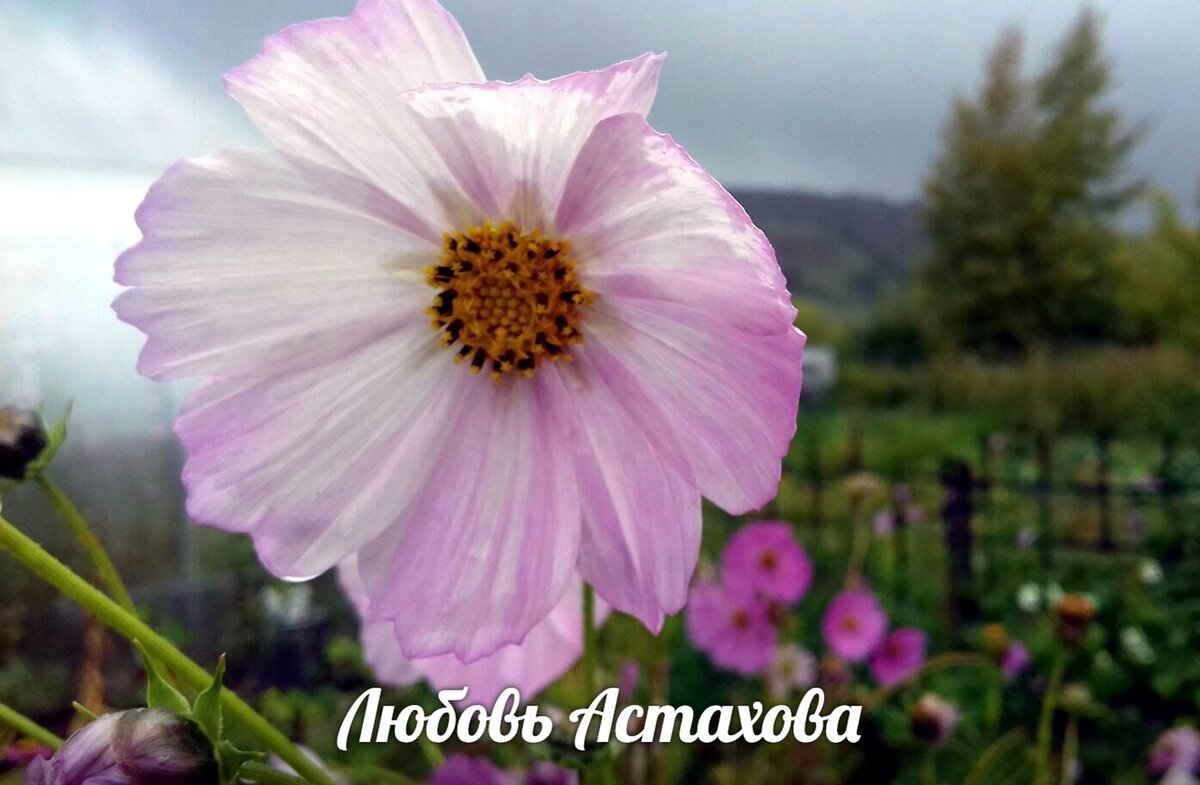 Принижая других, мы прежде всего унижаем себя, но не можем признать того, что считаем себя недостойными. Желая самоутвердиться, мы ломаем спокойствие других. 