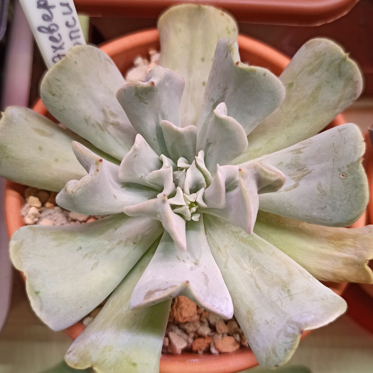 Фото от 12.07.2020