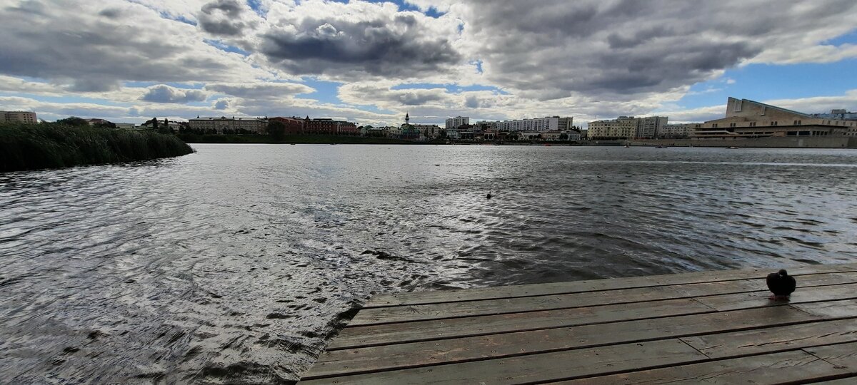 Справа голубь