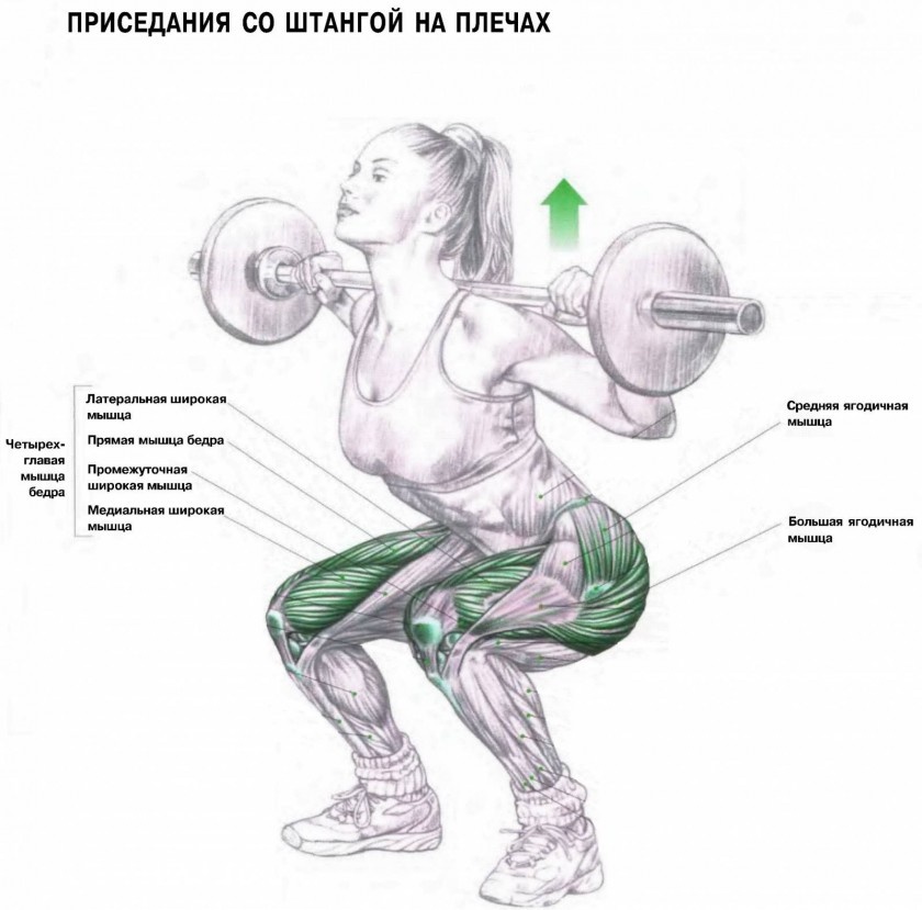 Изображение взято из открытых источников
