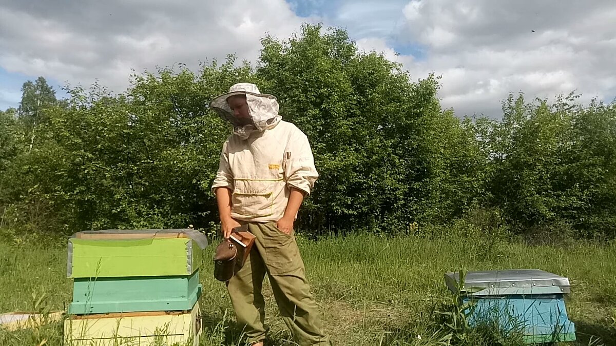 Пасечник на пасеке. Пасека с бородой ютуб. Пасека с бородой. Пасека с бородой последнее. Пасека с бородой новое видео.