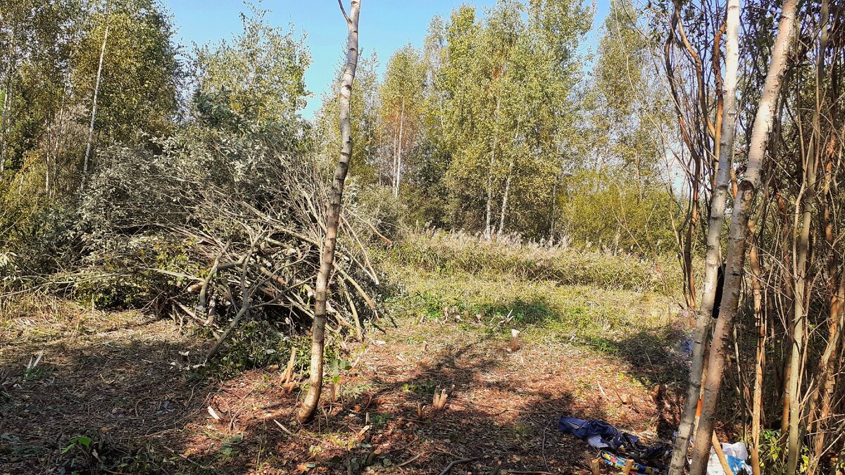 Уже можно передвигаться по участку 