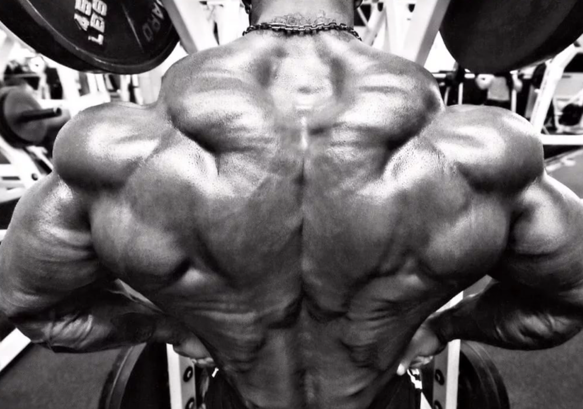 Те, кто не верят в успех без фармы, дальше можете не читать