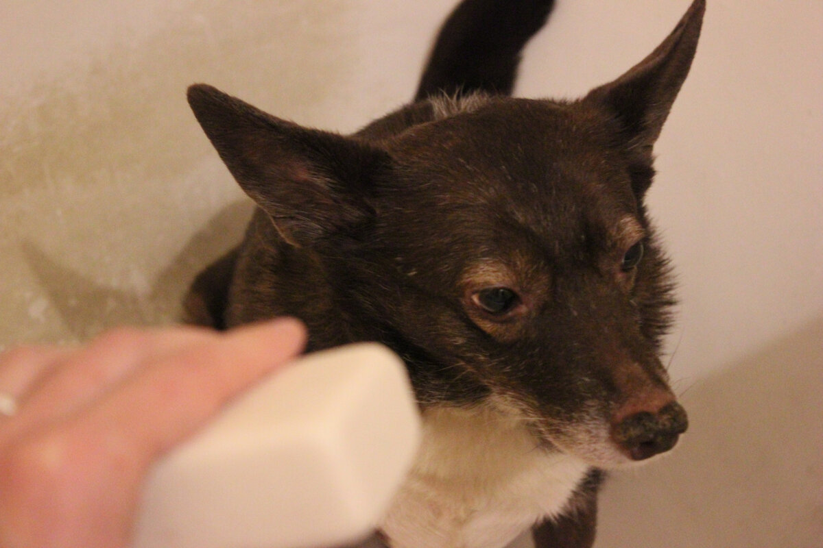 личное фото автора канала 