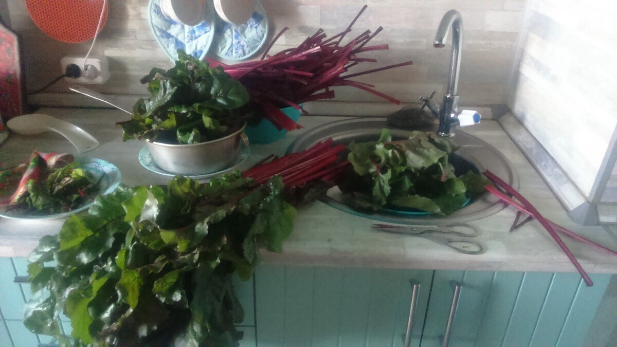 Фото Лейлы Милошевич