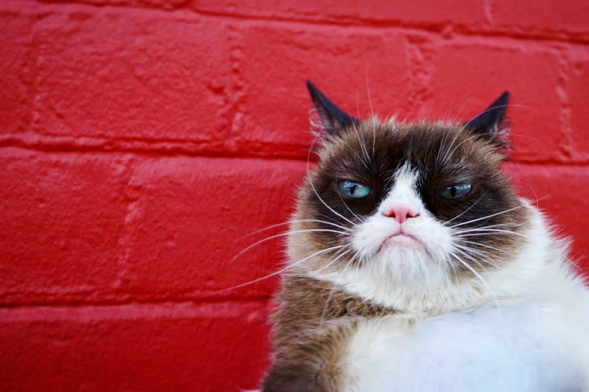 разве что таким