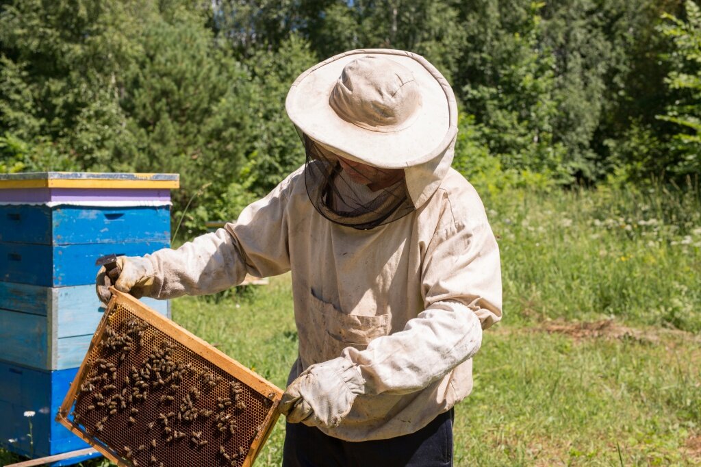 Фото из открытых источников - яндекс.картинки