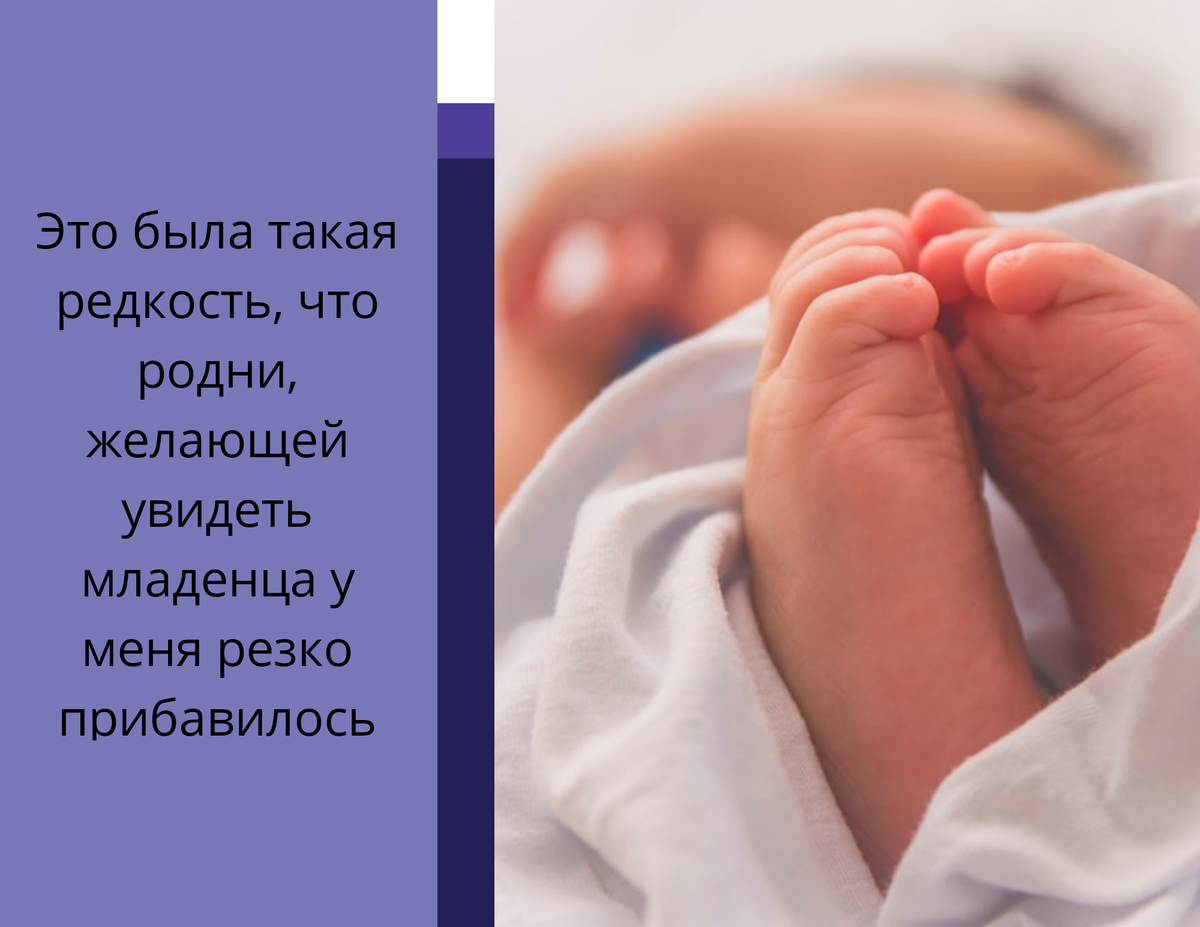 Фотография из свободного источника