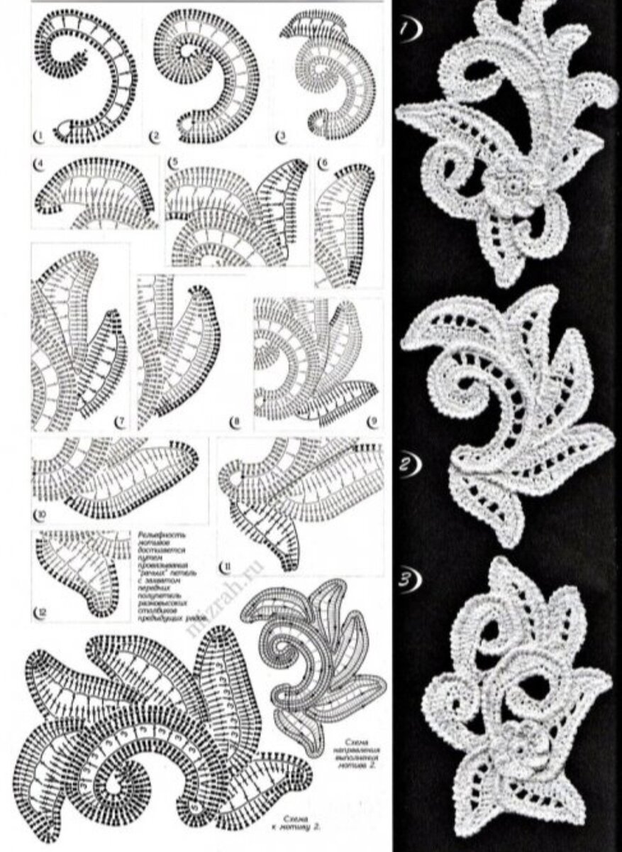 ,  ! 🙋‍♀️ "      ".        .-11