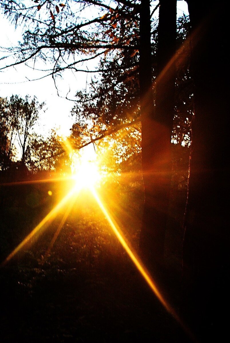 В луче света. Лучи солнца. Луч света в небе. Луч света песня. Свет солнца лучи.