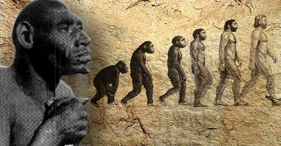 Фото: открытый источник