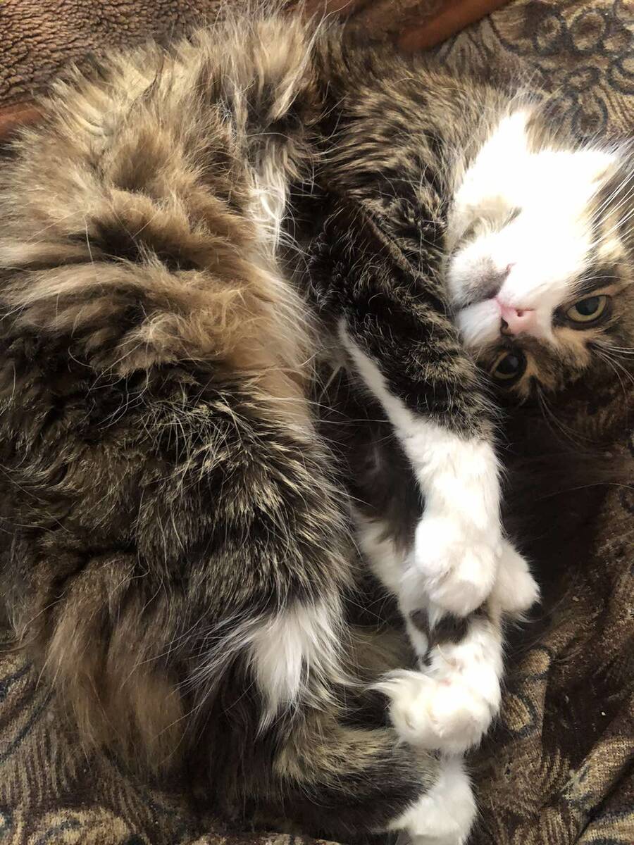 Василиса не умерла, просто спит с открытыми глазами))