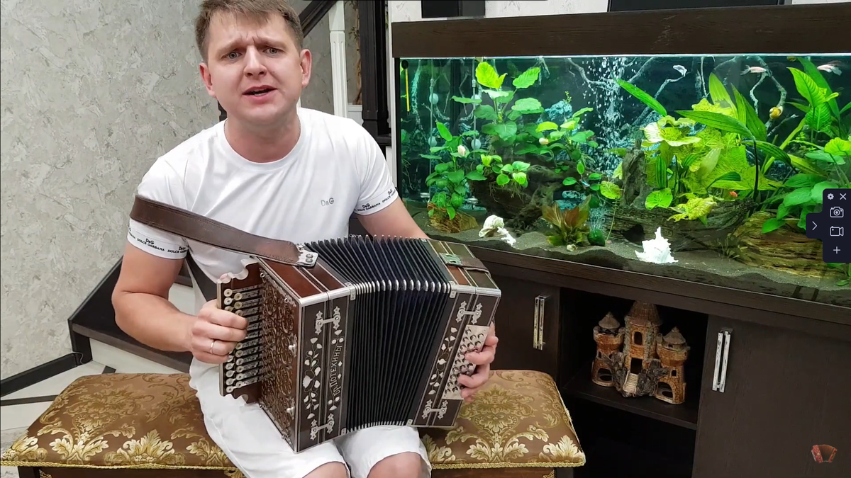 Анатолий святов гармошка. Гармонист анатолий святов частушки. Анатолий святов частушки. Гармонь на свадьбе. Гармонь святов.