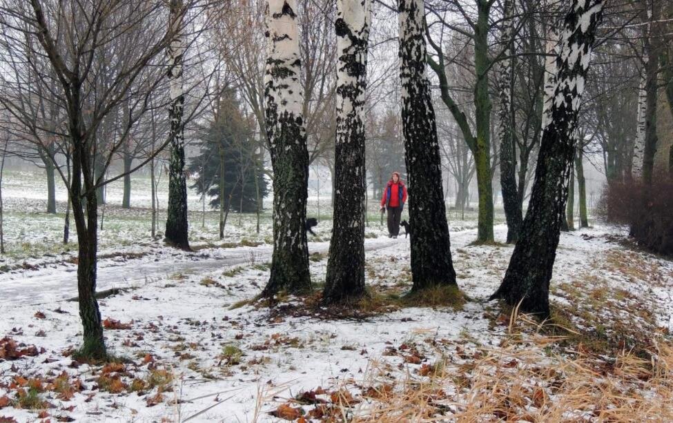 Фото — photocentra.ru