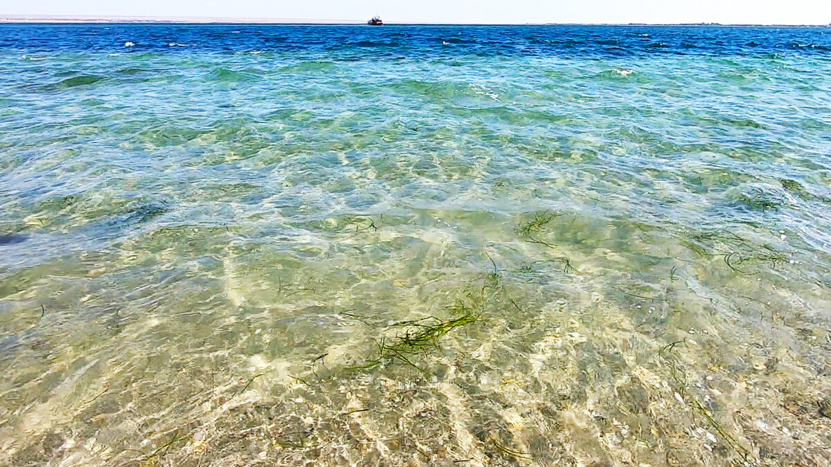 Вода в крыму на море