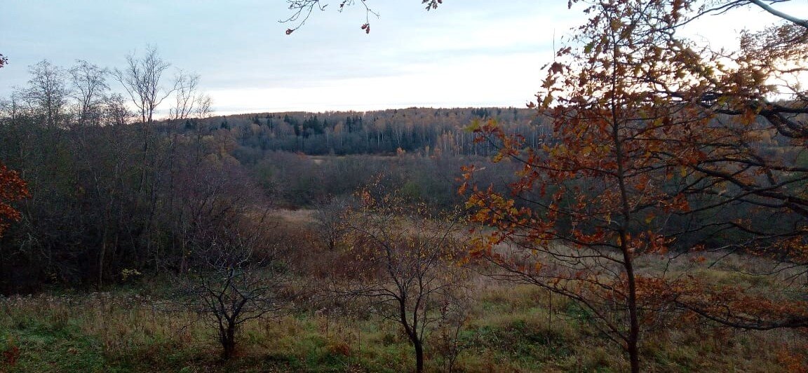 Деревенские пейзажи