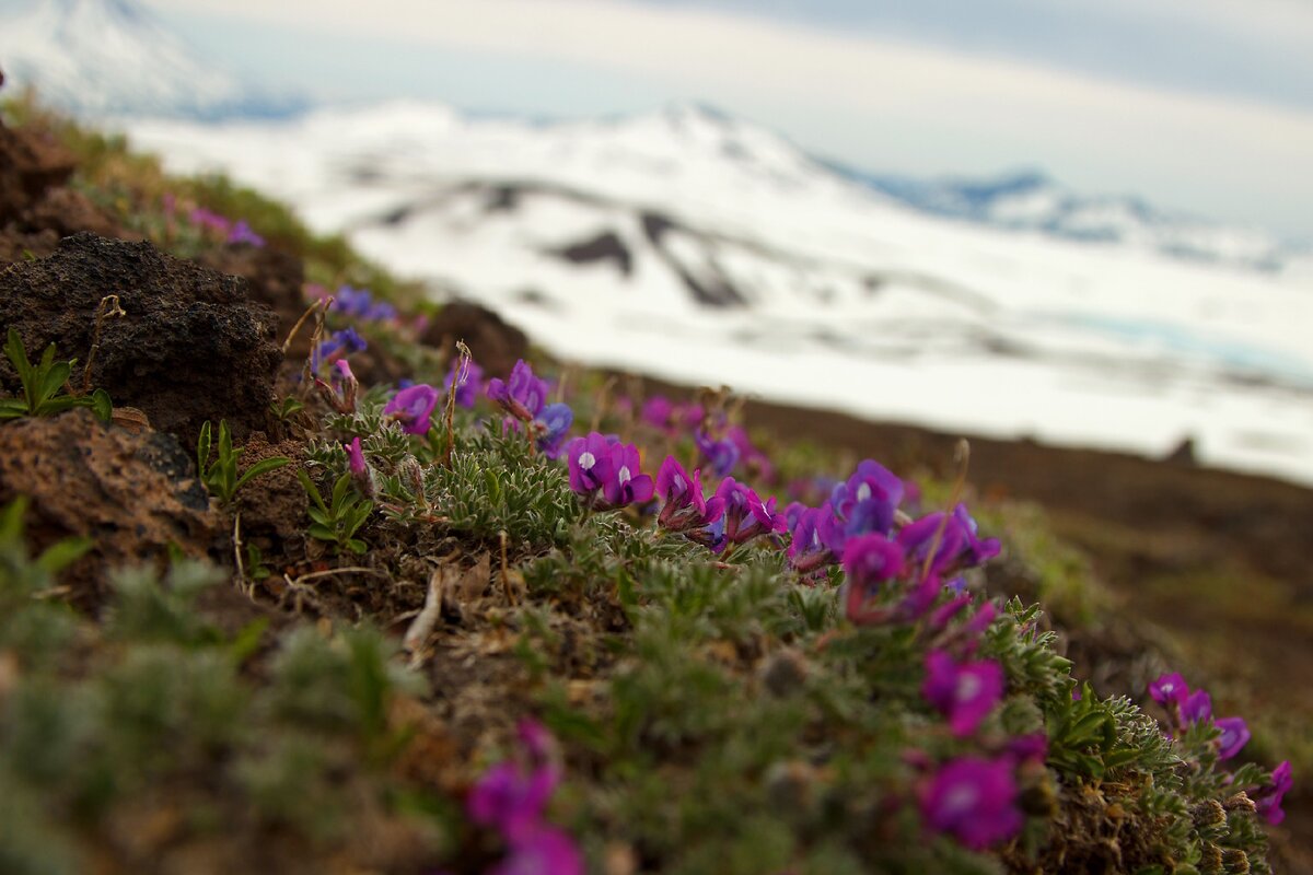 @best_land_foto
фотограф Ксения Сасс