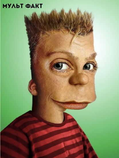 Источник: static.boredpanda.com