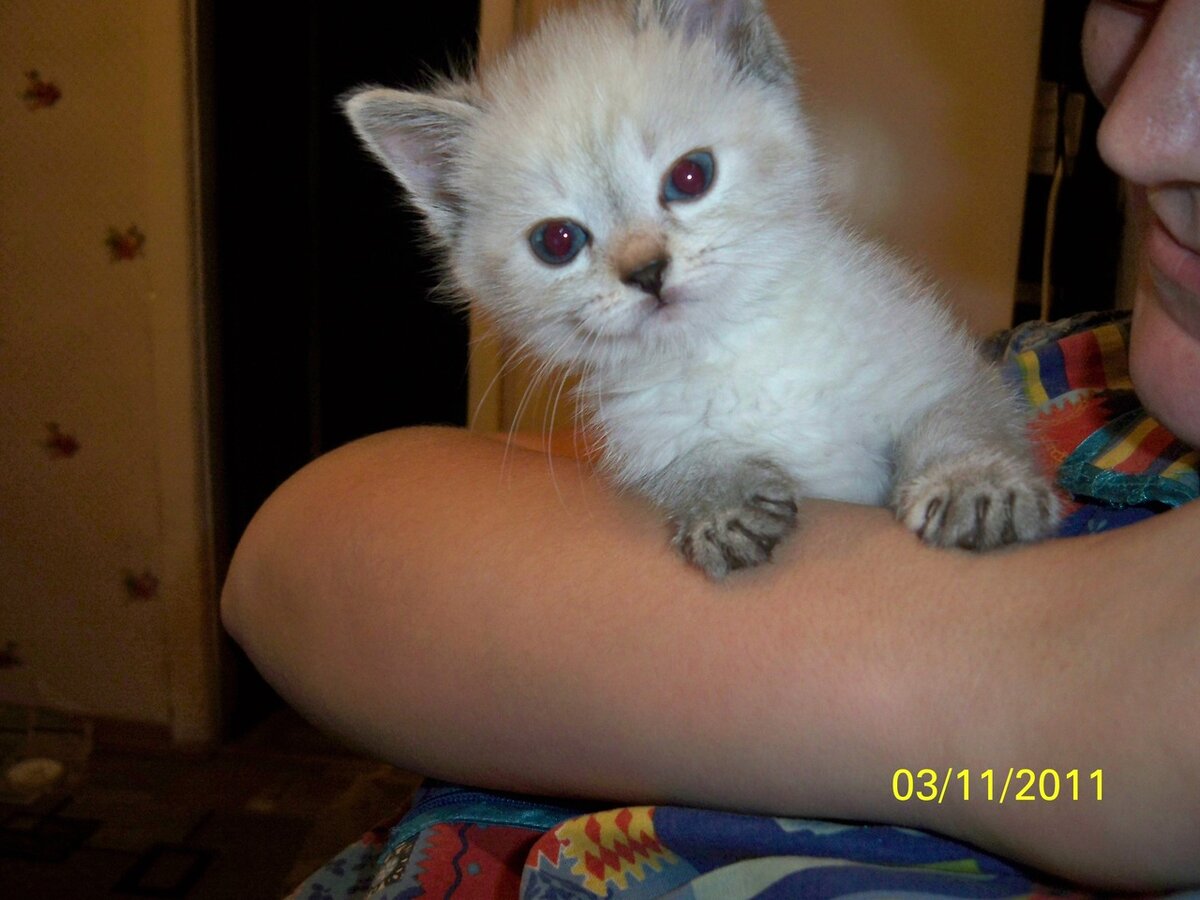 Такая малая, аж не верится.