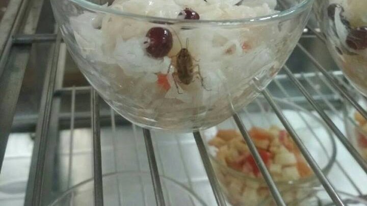 Фото взято с сайта Яндекс Картинки