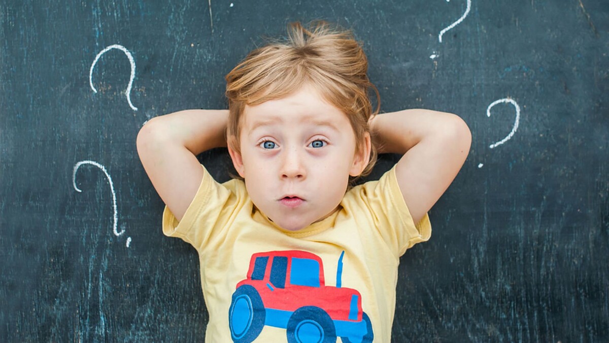 изображение взято из открытых источников в интернете