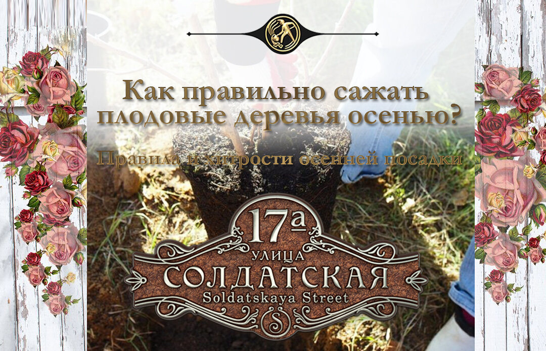 Самое время сажать