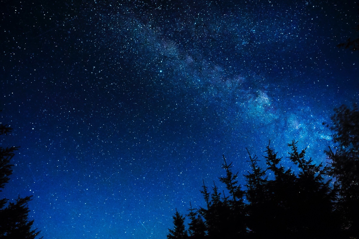 https://images.wallpaperscraft.ru/image/zvezdnoe_nebo_noch_zvezdy_blesk_derevya_115991_4608x3072.jpg