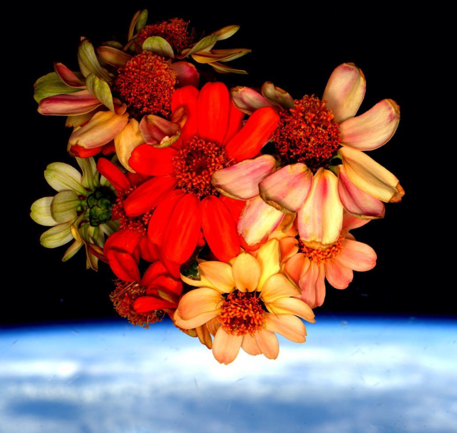 NASA