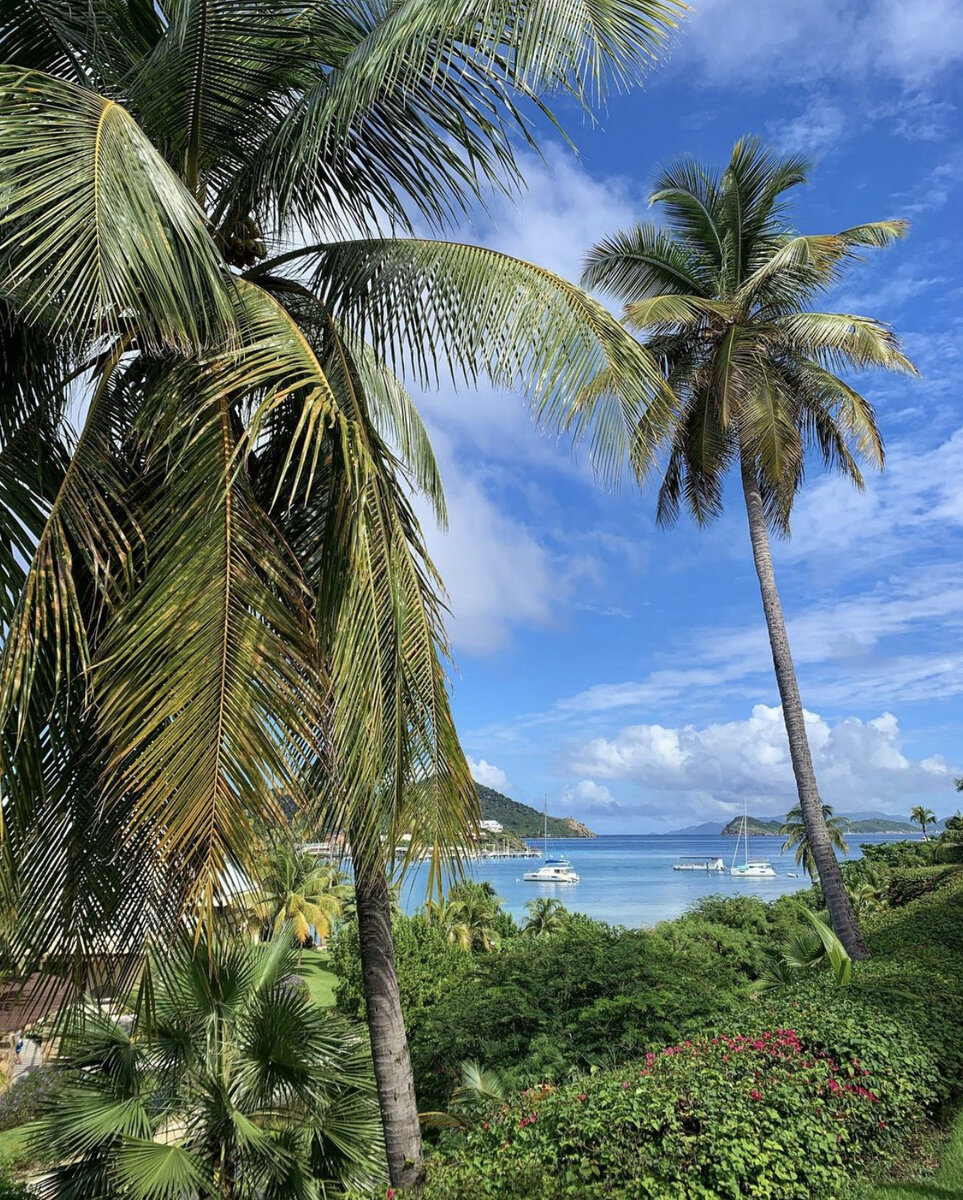 📍Виргинские острова 🇻🇬 🇻🇮