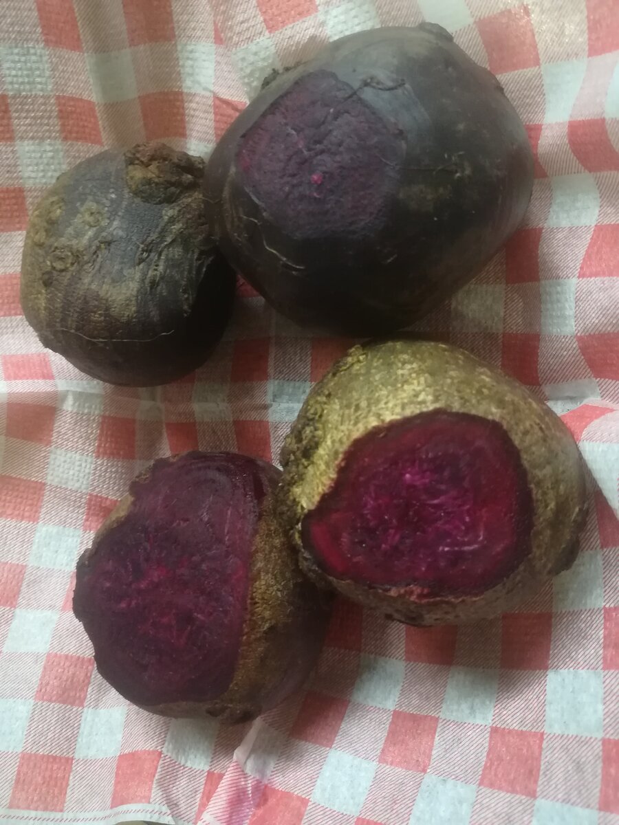 фото: личное