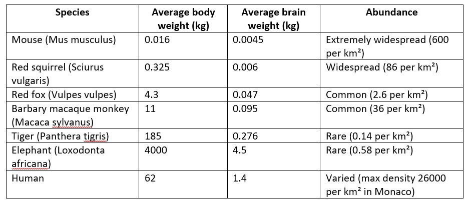 Таблица, показывающая размеры тела и мозга и распространение некоторых видов, изученных исследователями. Авторство: Редингский университет