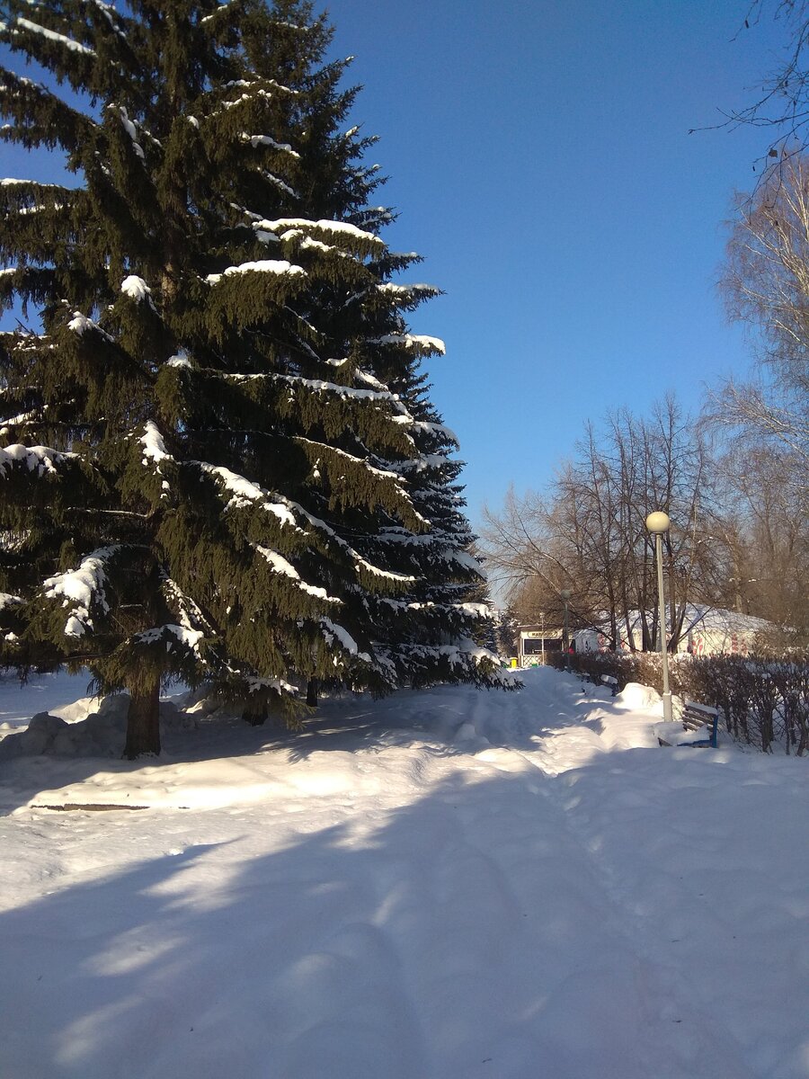 Красноярск. Центральный парк. Фото автора