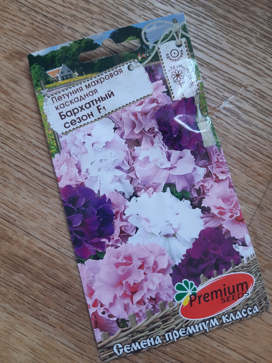 Семена, которые посадила.