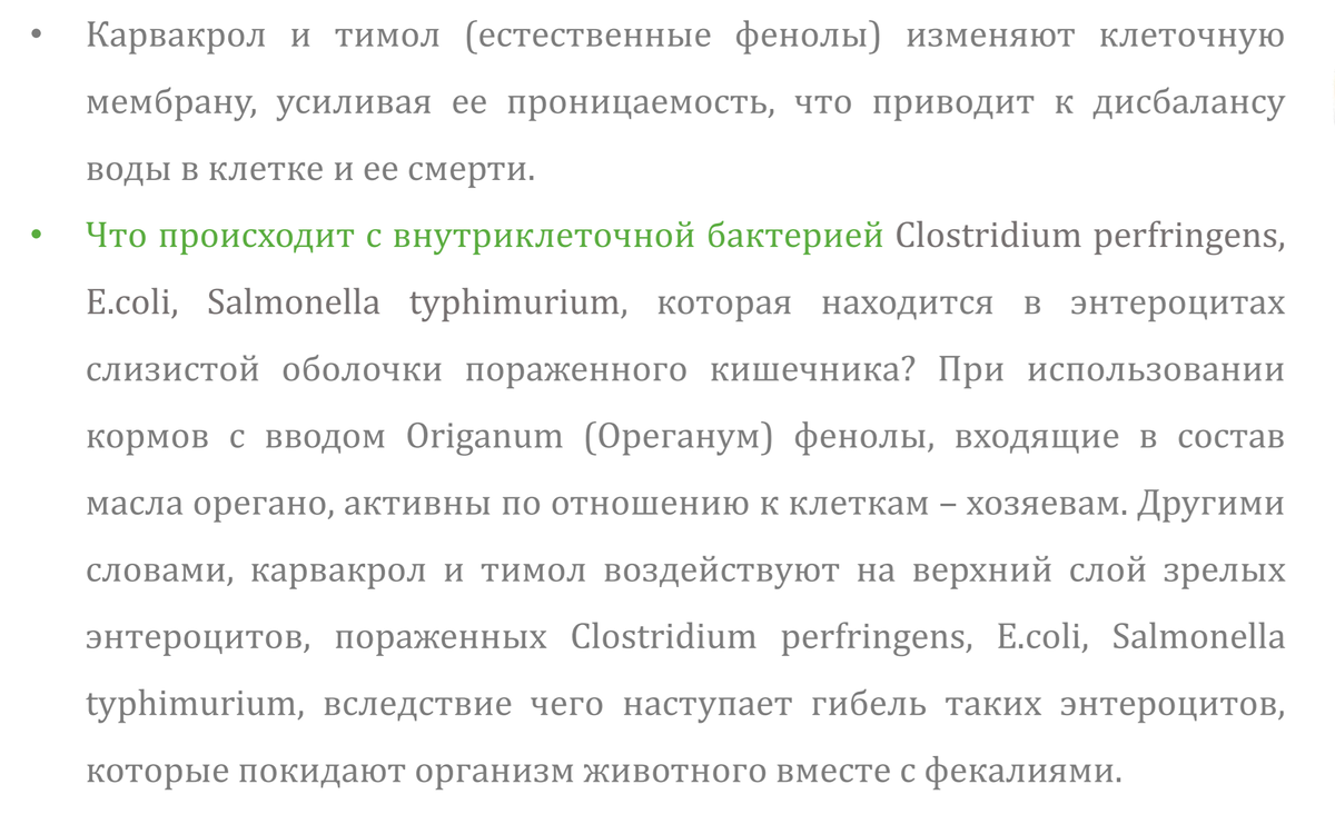 ВЫРАЩИВАЕМ БРОЙЛЕРОВ БЕЗ АНТИБИОТИКОВ | Первый куриный | Дзен