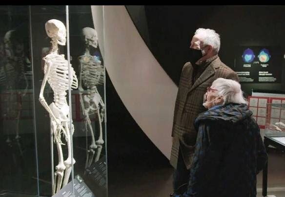 На выставке Body Worlds. Источник: https://www.instagram.com/bodyworldsnl